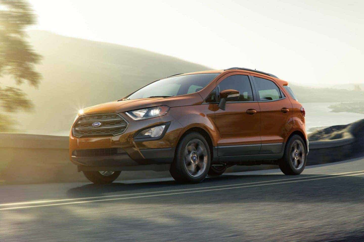 2019 Ford EcoSport Exterior Features