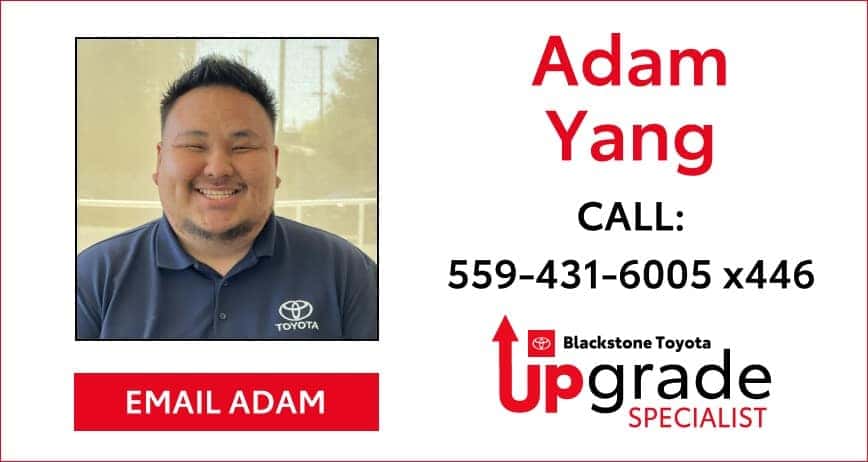 Email Adam