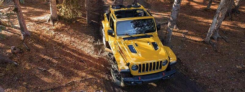 New 2019 Jeep Wrangler Savannah GA