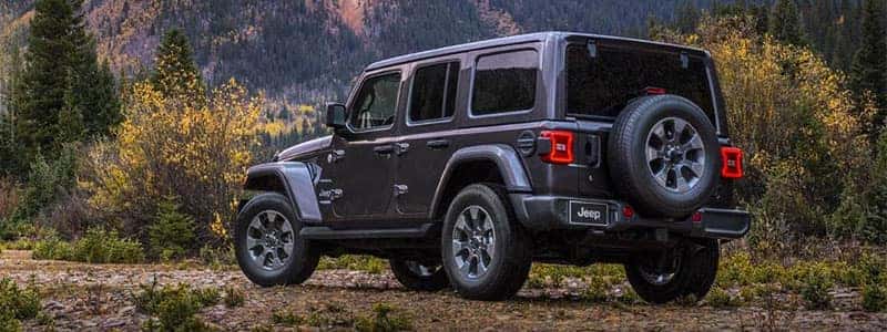 New 2019 Jeep Wrangler Savannah GA