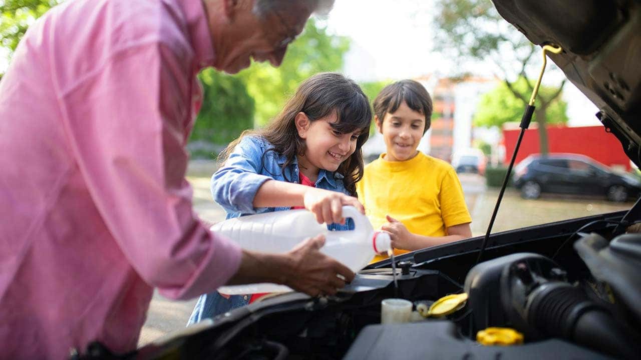6 Essential Car Fluids and How to Check Them Fisher Auto