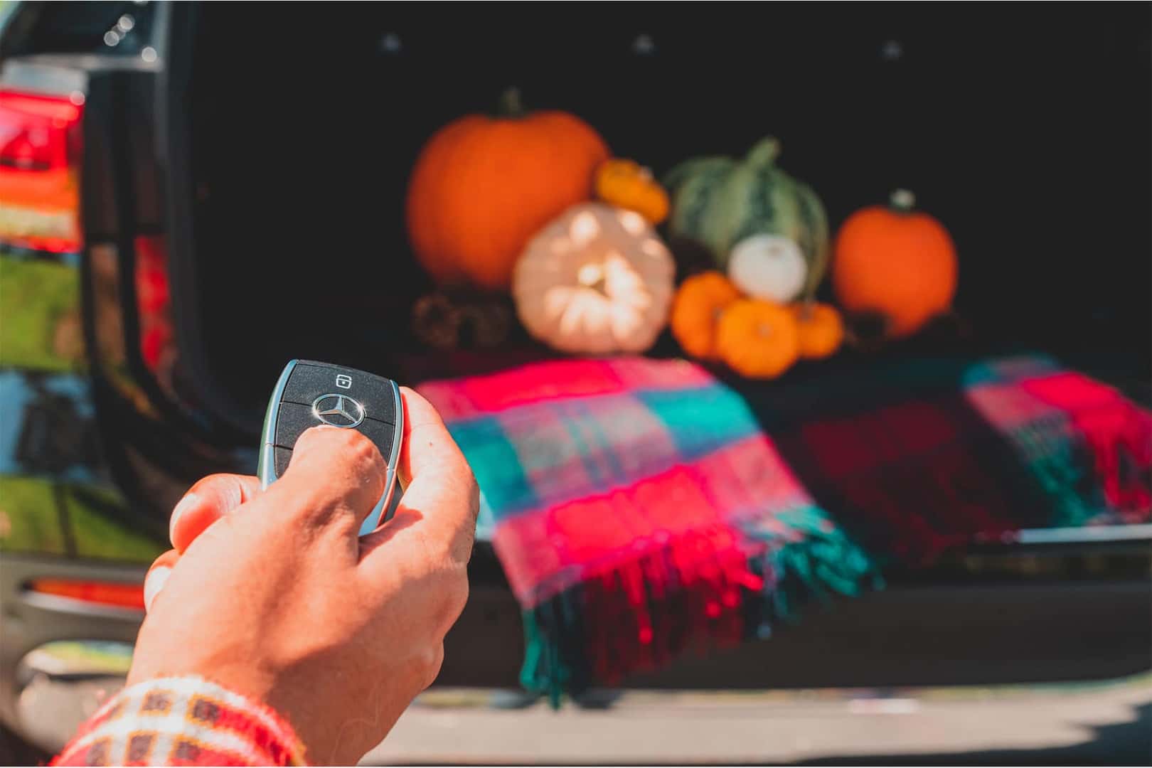 Pumpkin Patches Near Las Vegas, NV Fletcher Jones Imports