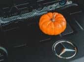 Things to Do in Henderson in the Fall