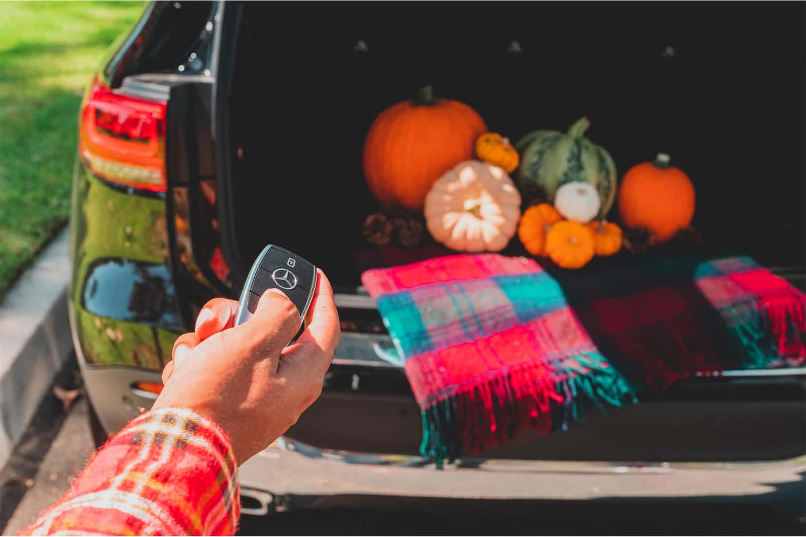 Pumpkin Patches Near Henderson, NV MercedesBenz of Henderson