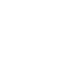 wrench icon