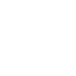 tire icon