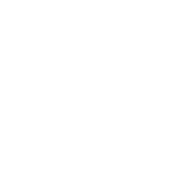 badge icon