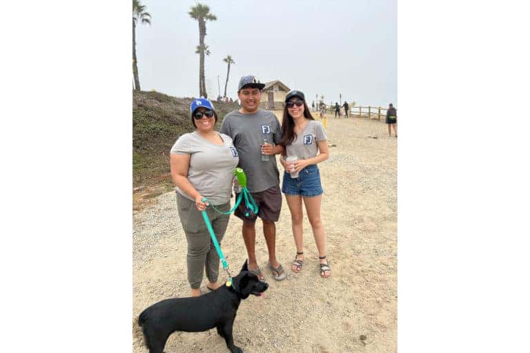 DOg Clean Up 3