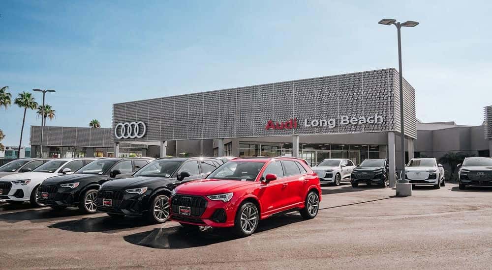 audi