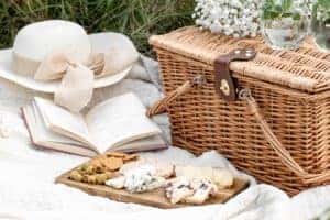 picnicking-in-virden-il