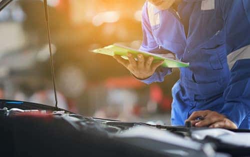 Spring Maintenance Package