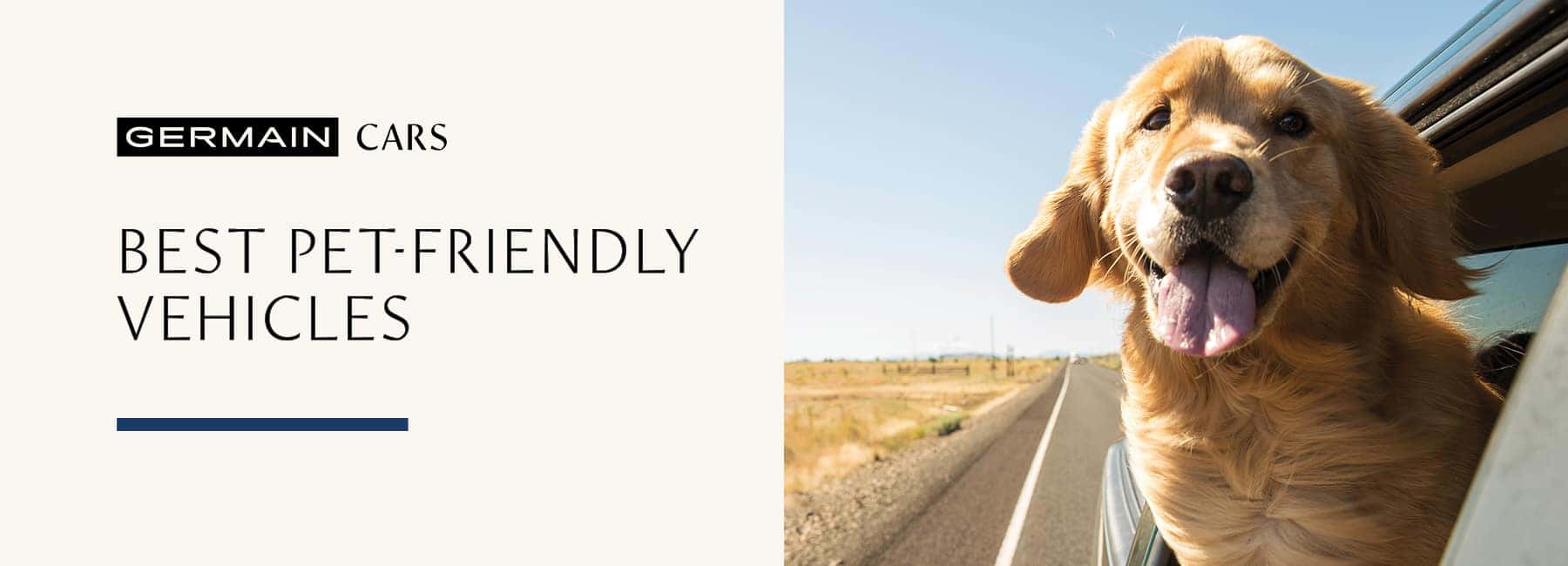 Best Pet-Friendly Vehicles