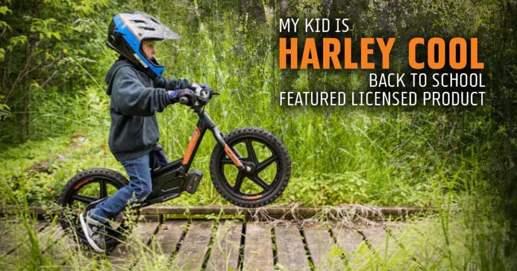 harley davidson kids helmet