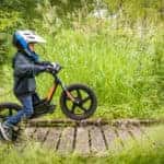 Harley IRON E Children's Electric Bike