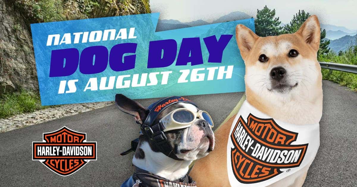 National Dog Day is August 26th