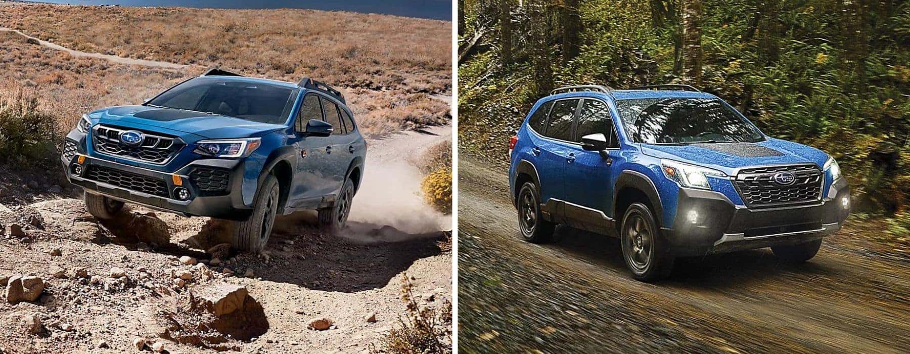 2024 Subaru Outback 2024 Subaru Forester Wilderness editions in the dirt
