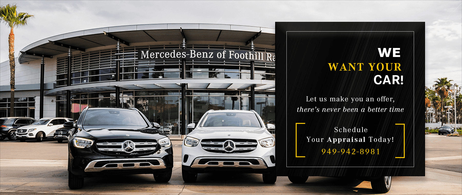 We Want Your Car!