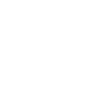 Car Detail Icon