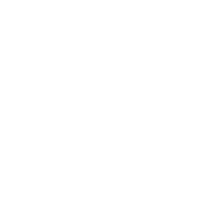 Checking Engine