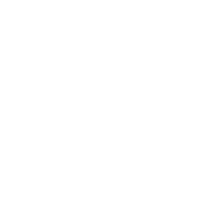Gear Knob