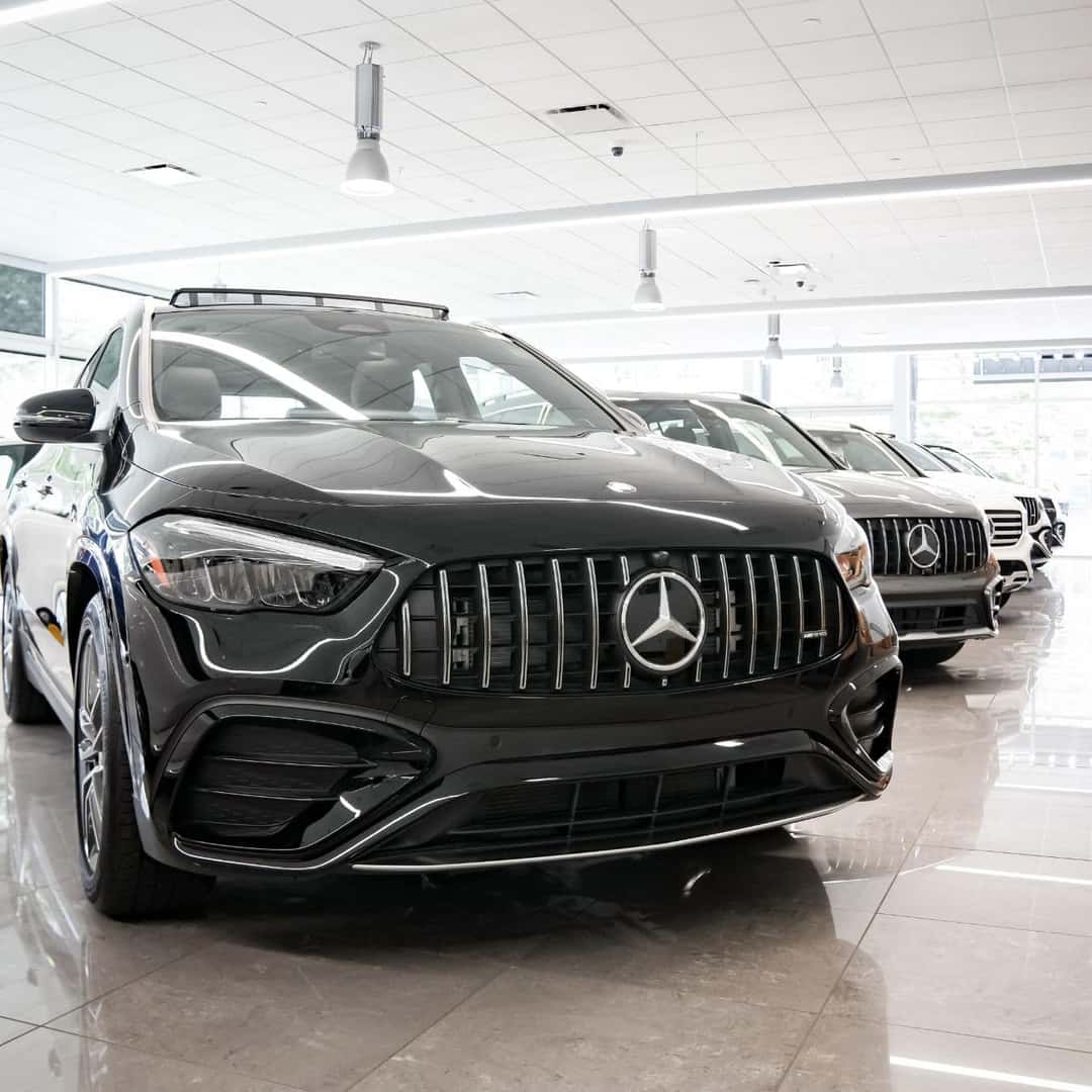 Vehicle Lineup