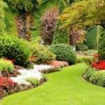 Botanical garden in the springtime