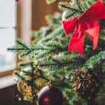 Christmas Tree Ornaments on Tree