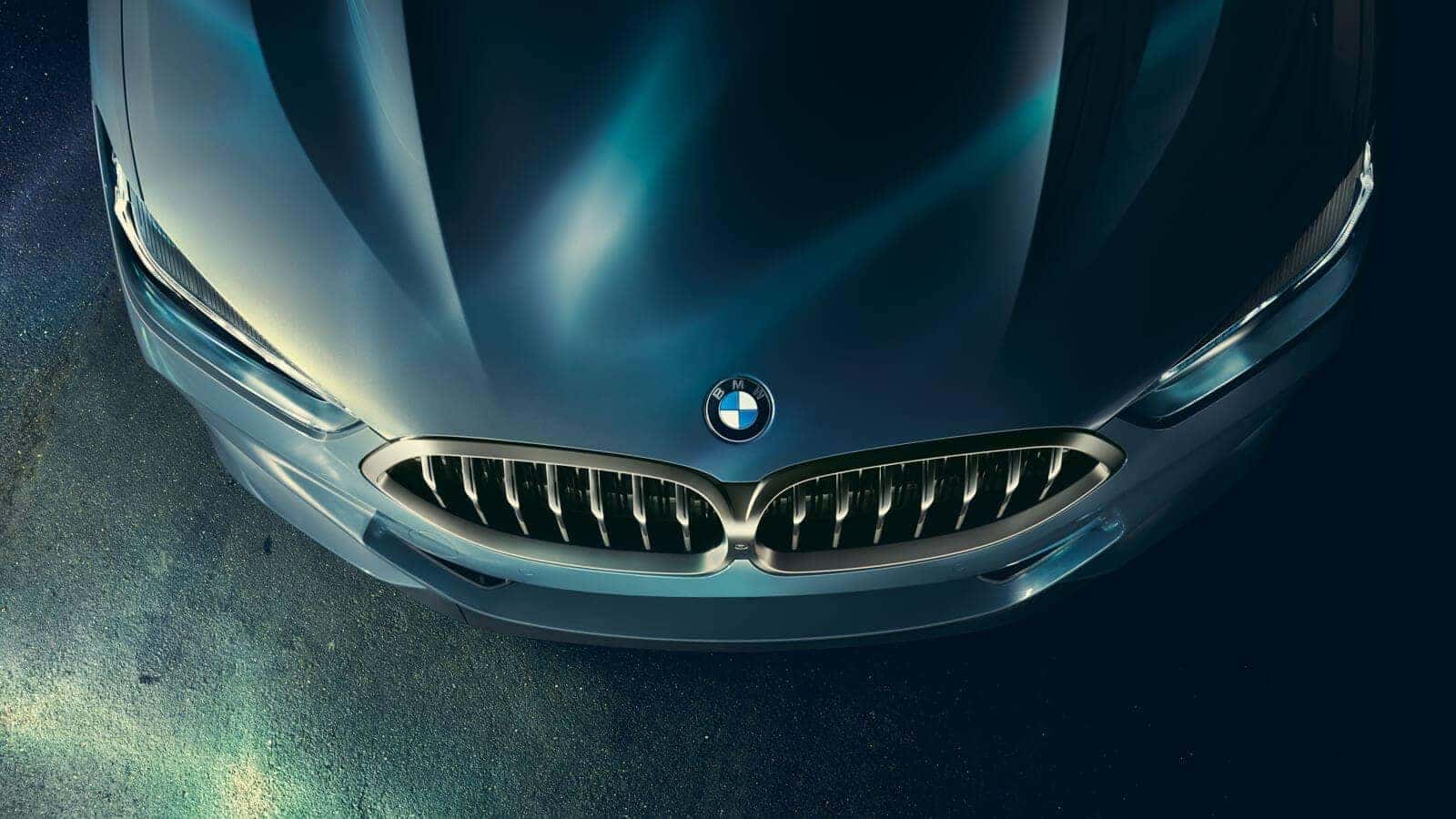 2019 BMW 8 Series hood