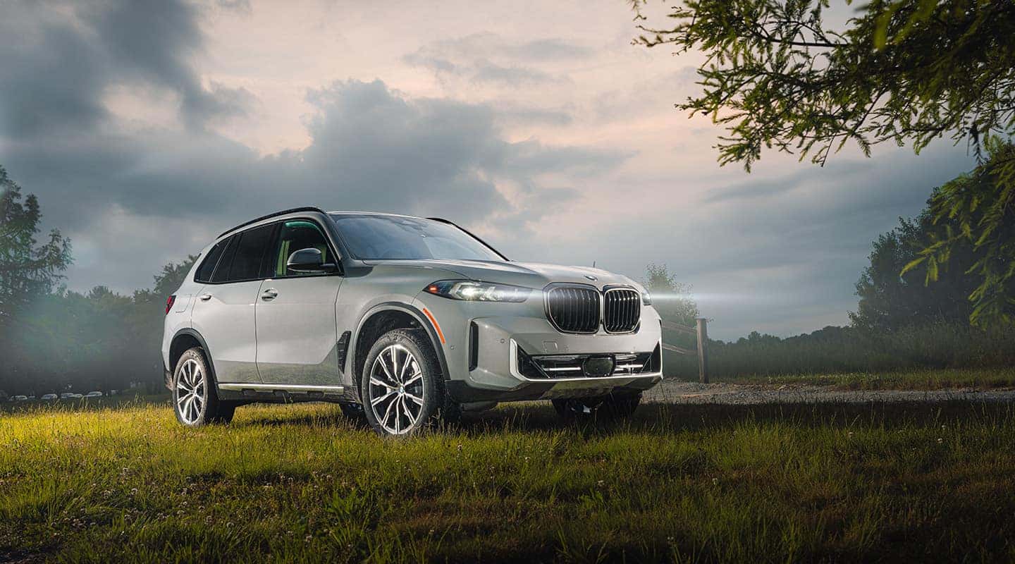 2025 Rallye BMW X5