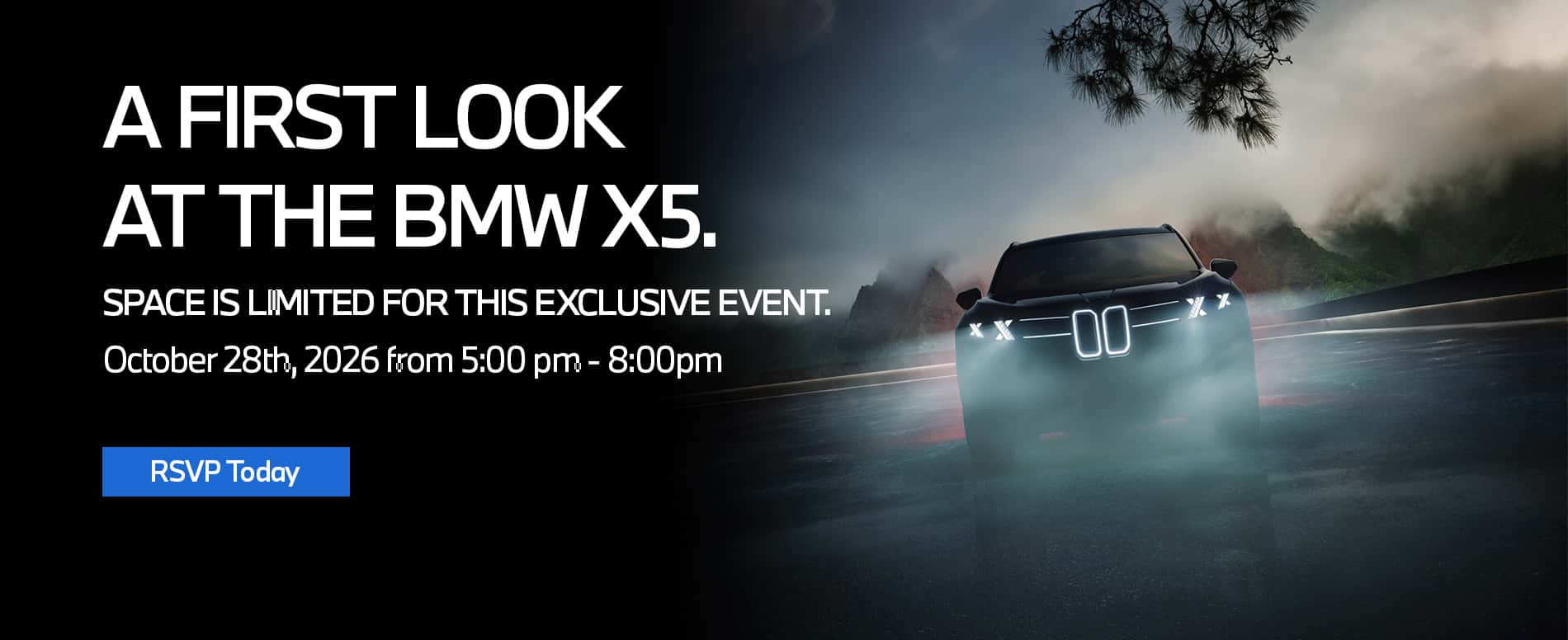 X5 night asset