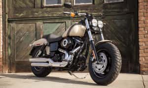 2015 Fat Bob