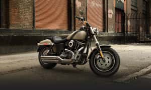 2015 Fat Bob