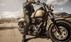 2015 Fat Bob
