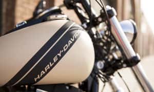 2015 Fat Bob