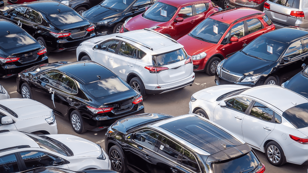Several rows of cars in a dealership parking lot
