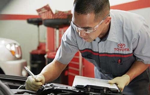 <h3> Seasonal Vehicle Inspection </h3>
