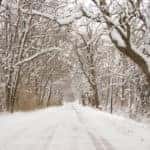 Winter Snow