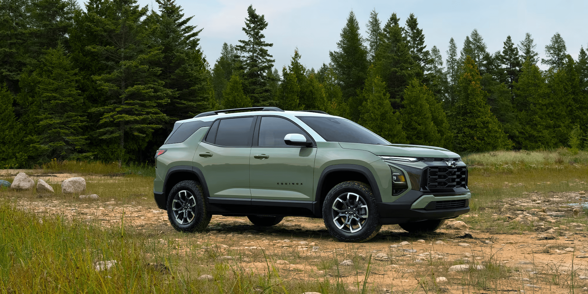 SUV in front of forrest