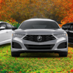 Fall Maintenance Tips for Your Acura