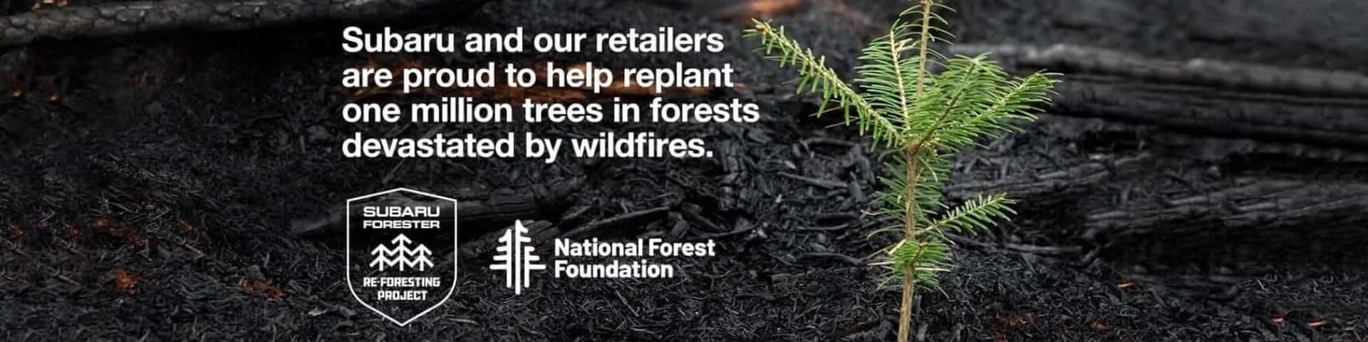 Subaru and our retailers are proud to replant one million trees in forests devastated by wildfires.