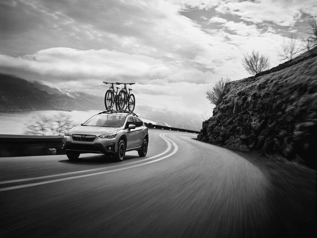 Love Is Out There.  Find it in the Subaru Crosstrek.