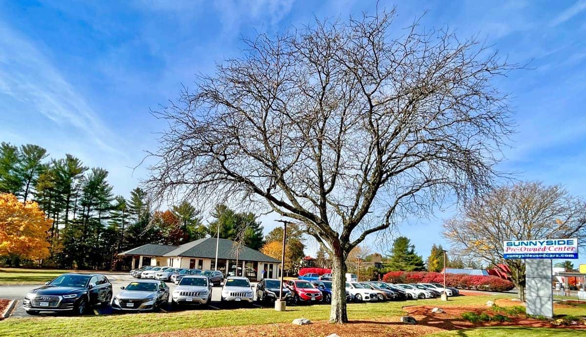 Used SUVs, Cars, and Trucks at PreOwned Center in Nashua, NH