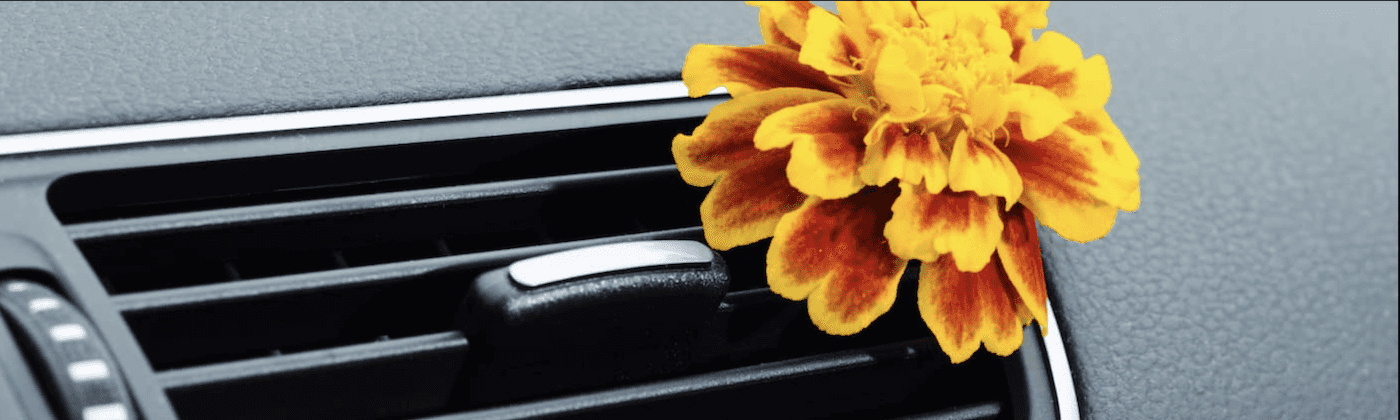 How To Make DIY Car Air Freshener 