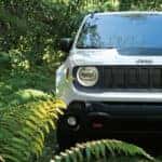 2019 Jeep Renegade Trailhawk White in forest