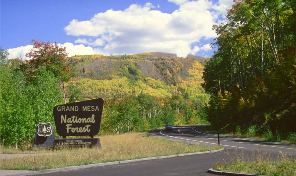 Road sign for the Grand Mesa National Forest with mountains in the background