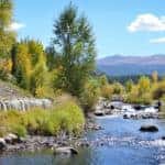 Rocky river with trees on either side and tall Colorado mountains in the distance