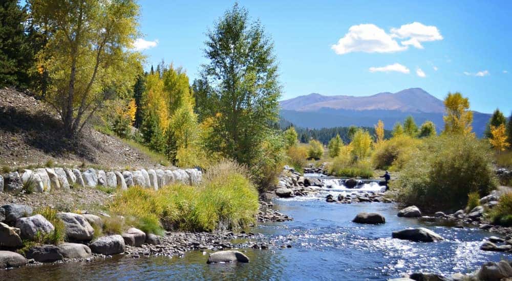 Rocky river with trees on either side and tall Colorado mountains in the distance