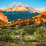 Green shrubs and trees in front of tall, rocky, Colorado mountains