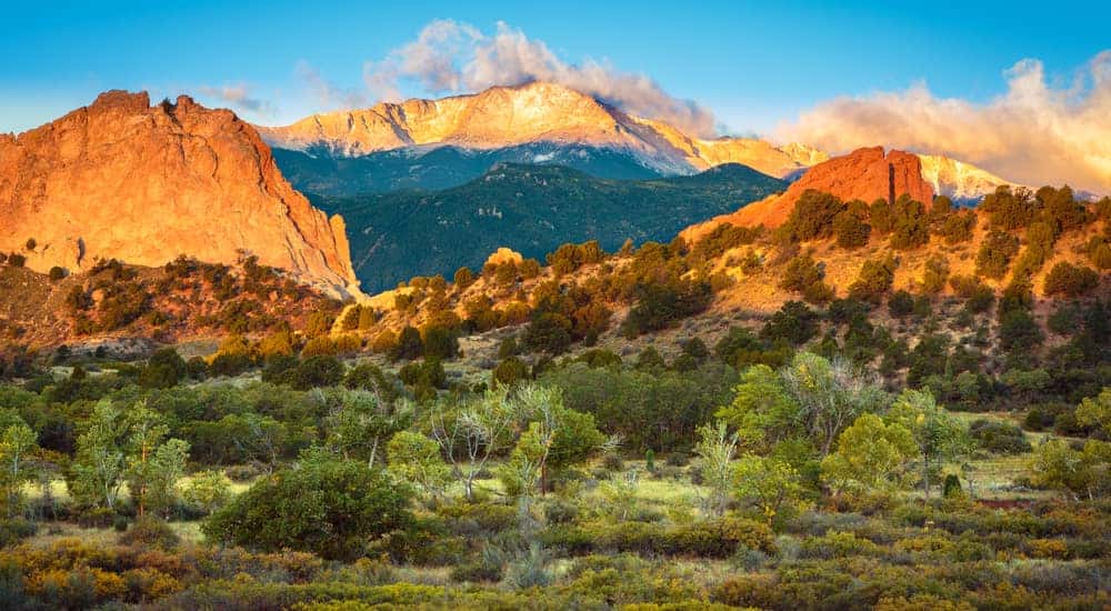 Green shrubs and trees in front of tall, rocky, Colorado mountains