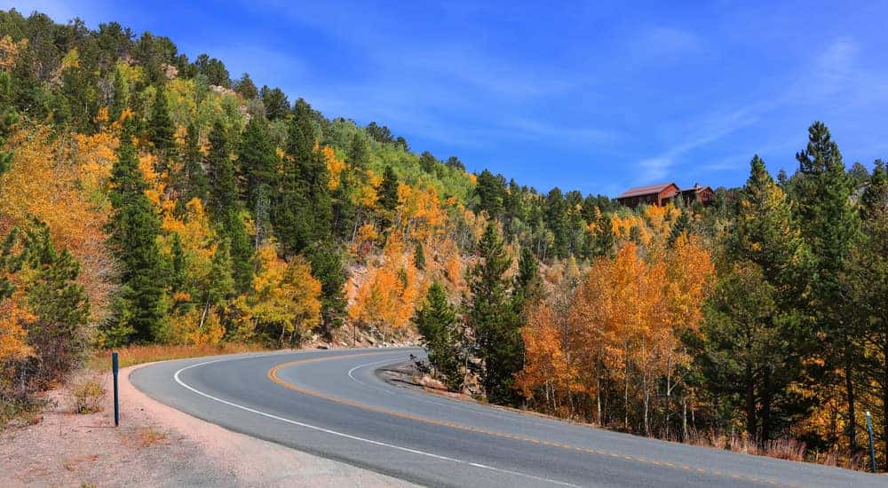 Empty paved Colorado road between hills and trees